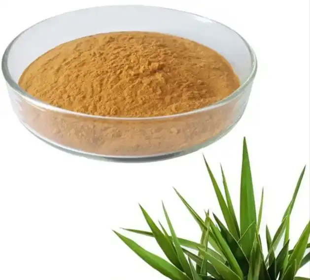 Where to Buy Yucca Extract for Bulk Import and Manufacturing